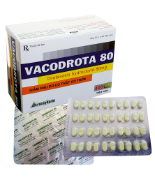 vacodrota-80-2093.png