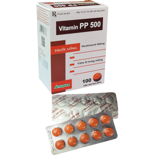 VITAMIN PP 500